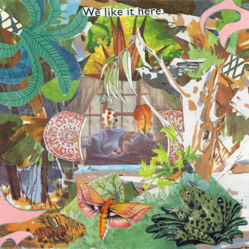 We Like It Here by Swimming by Rochelle van der Merwe